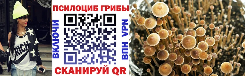 hydra зеркало Лангепас Галлюциногенные грибы мицелий